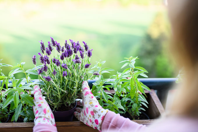 Cantinho relax: produtos para um jardim confortável e aconchegante